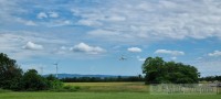 Foto zum Beitrag