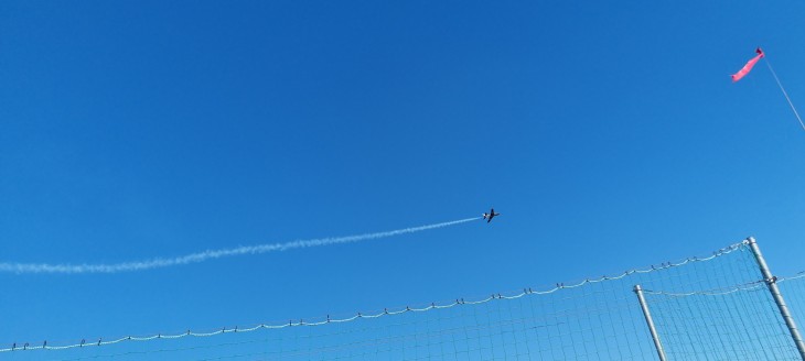 Foto zum Beitrag
